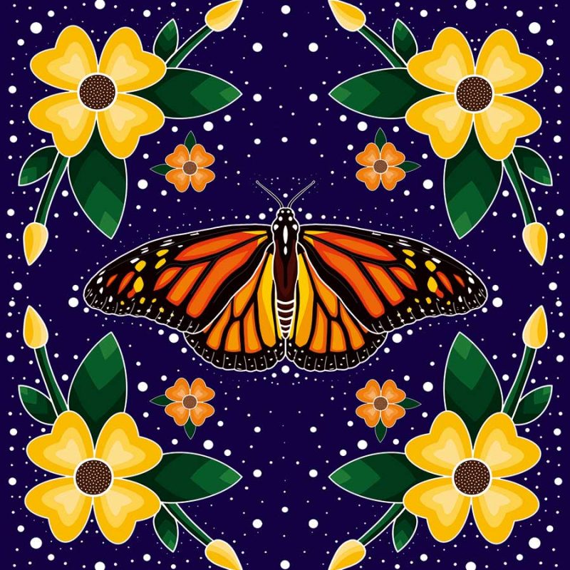 CAP Monarch Butterfly Coasters