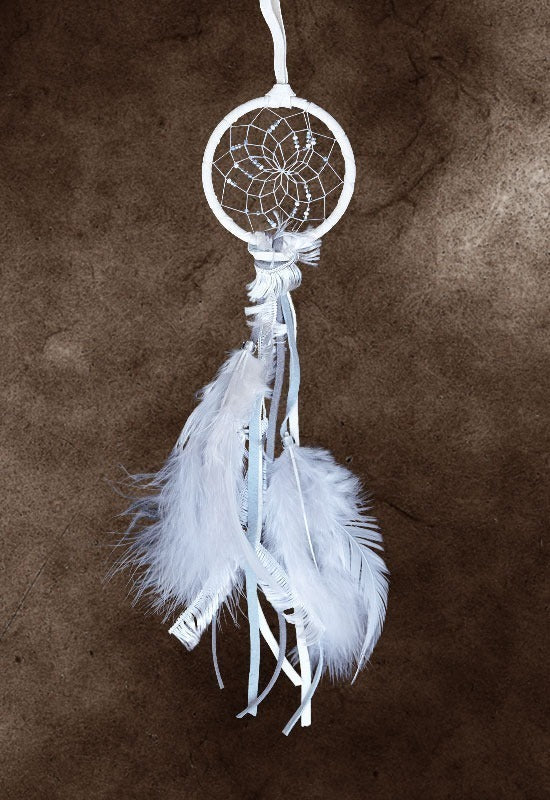 Monague 2.5" Winter Dreamcatcher