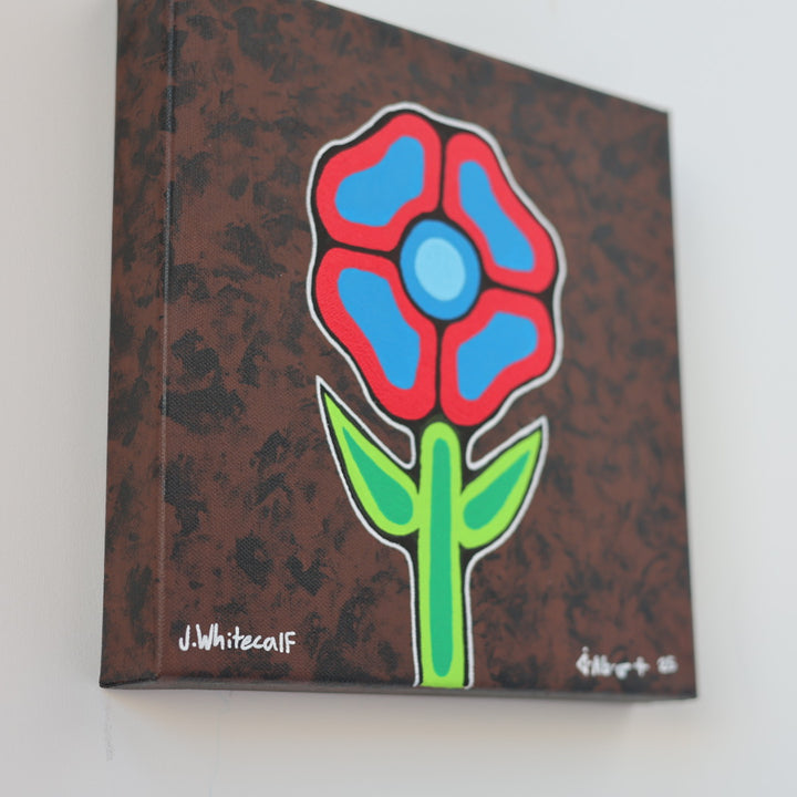 J.Wapiskisiw Growth (2025)