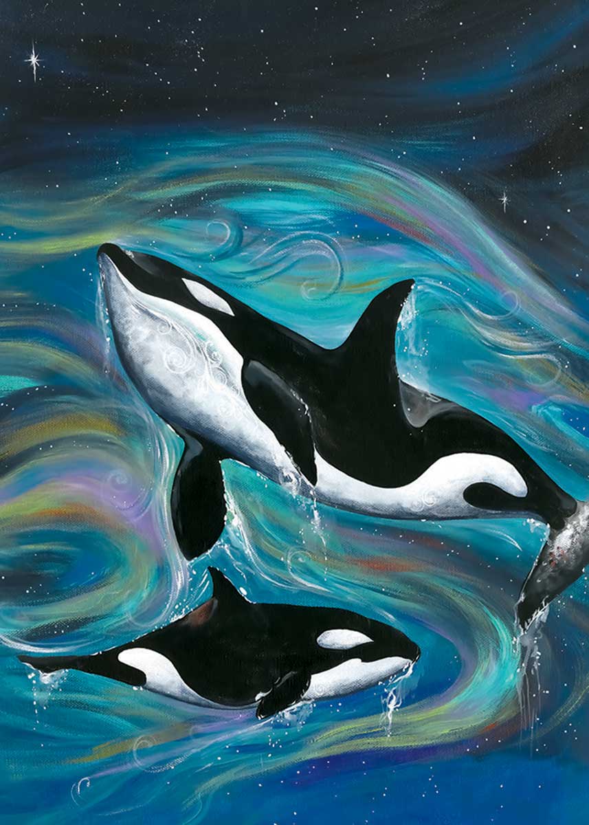 CAP Killer Whales Magnet