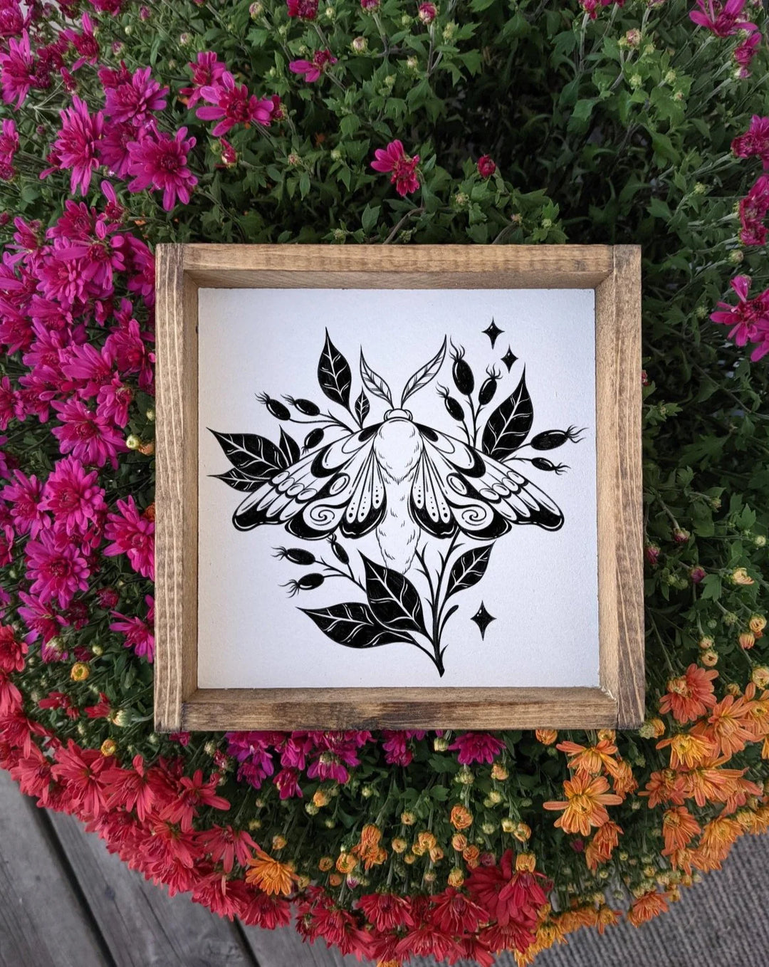 Moth Mini Wood Sign by william rae designs