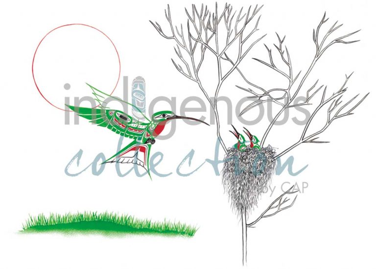 CAP Hummingbird Nest Art Card