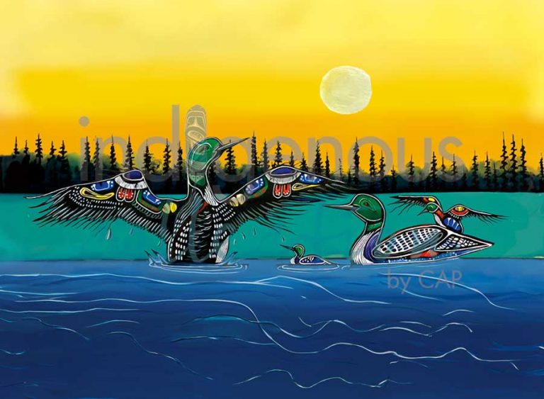 CAP Protector Magnet