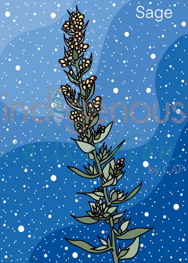 CAP Sage Art Card