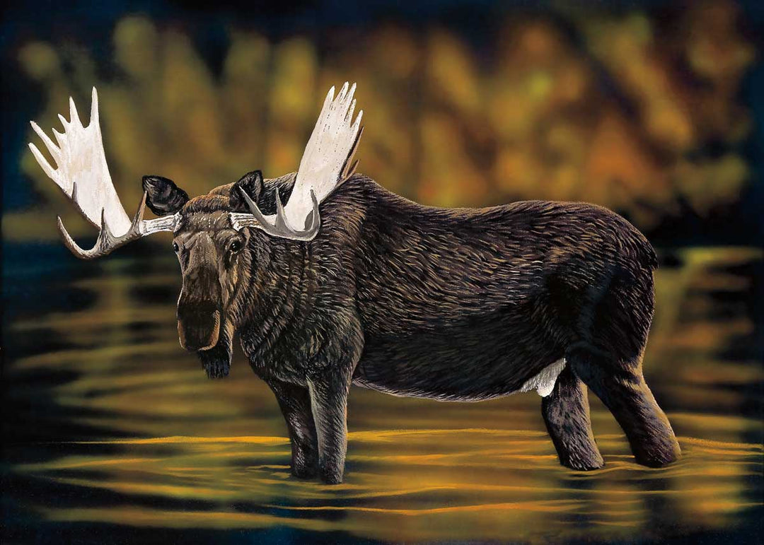 CAP Alces Art Card