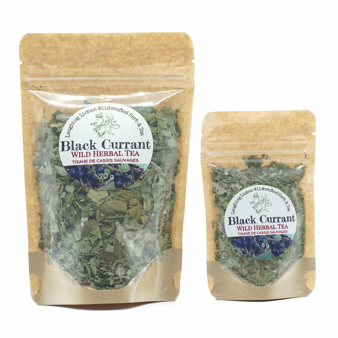 Laughing Lichen Wild Black Currant Herbal Tea