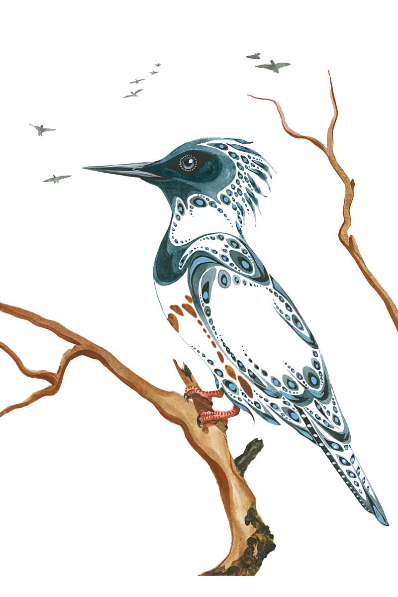 CAP Resting Kingfisher Art Plaque