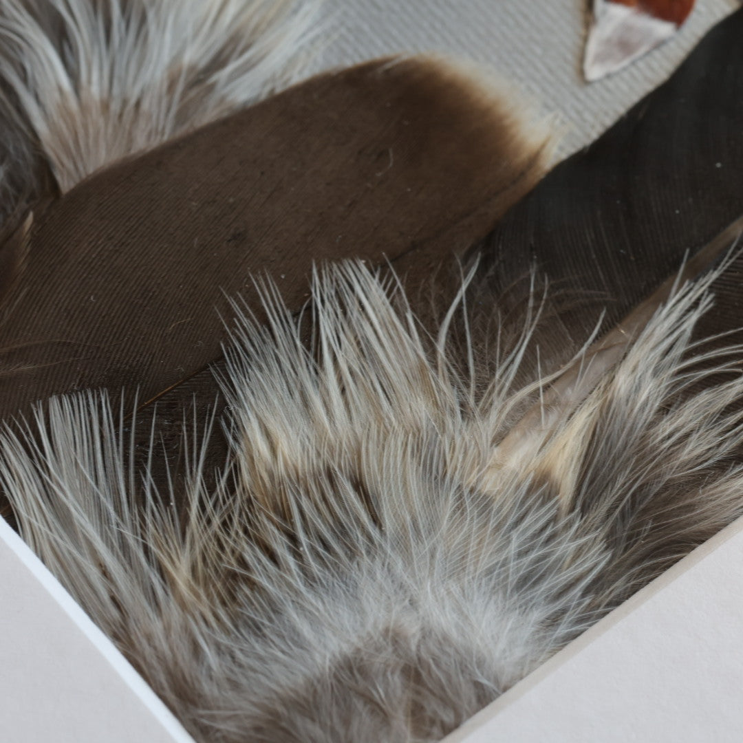 Shannon Dunn 8"x10" Fox Feather Art