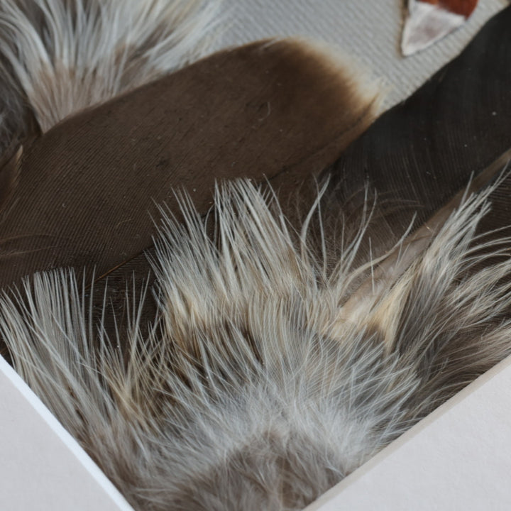Shannon Dunn 8"x10" Fox Feather Art
