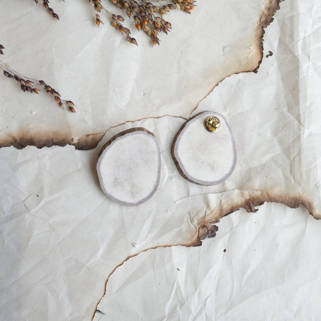 TLee Beads Moose Antler Slab Studs