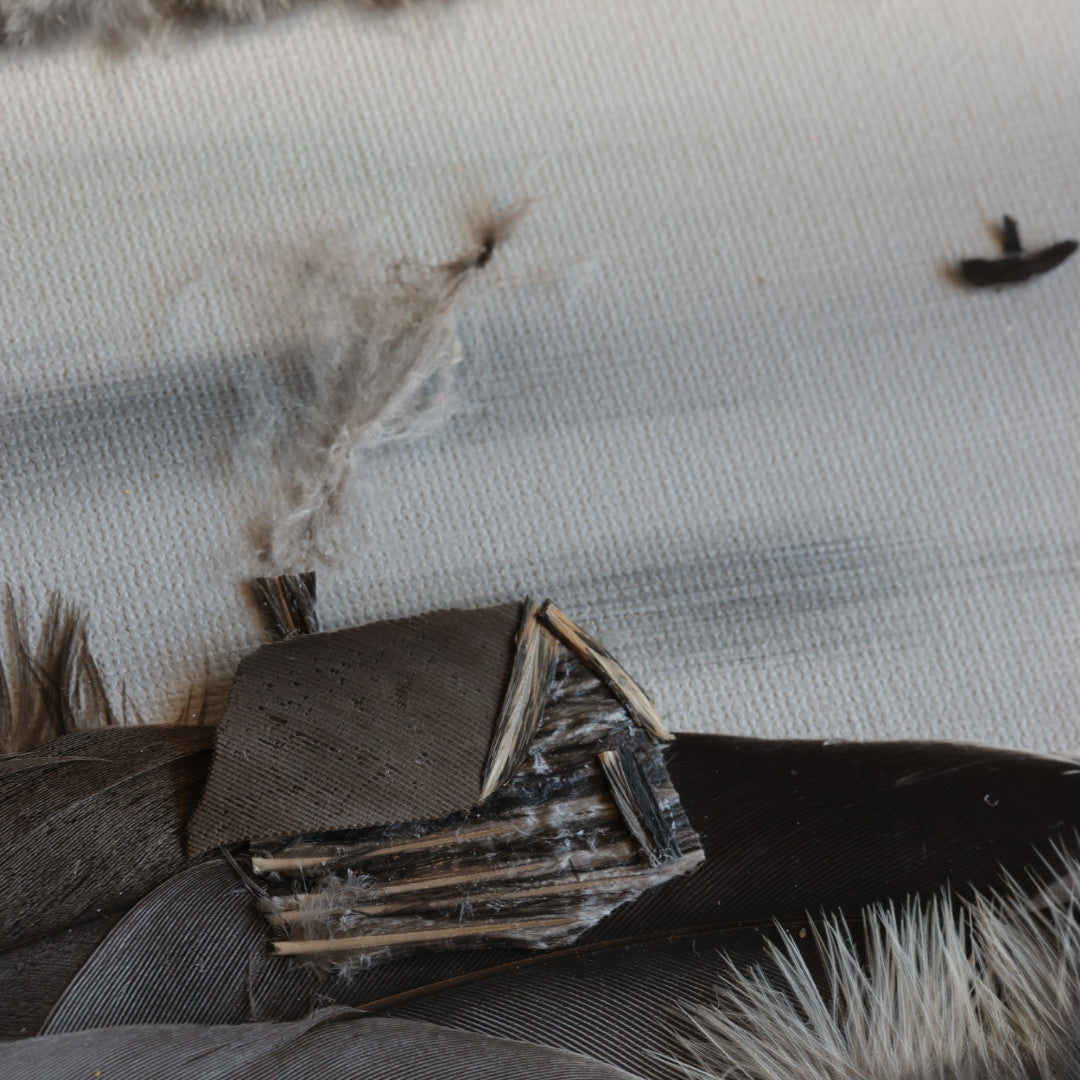 Shannon Dunn 12"x15" Cabin Feather Artwork