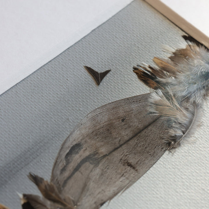 Shannon Dunn 8"x10" Bear Feather Art
