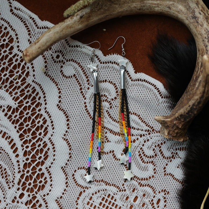 DMD Beadwork Rainbow Fringe Earrings