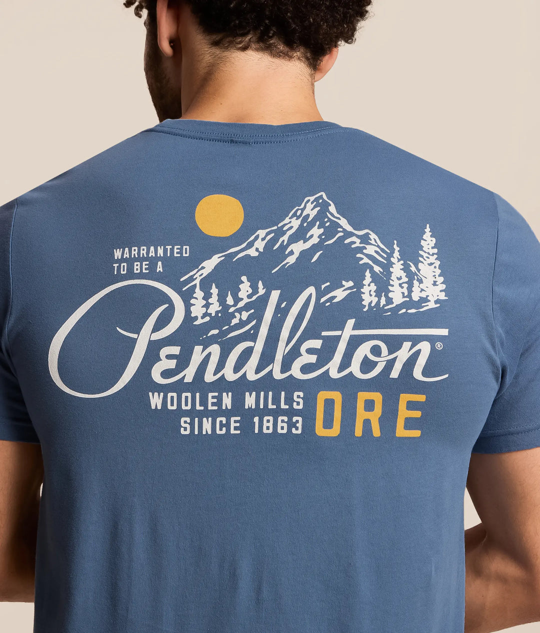 Pendleton Mountain Graphic Tee Blue