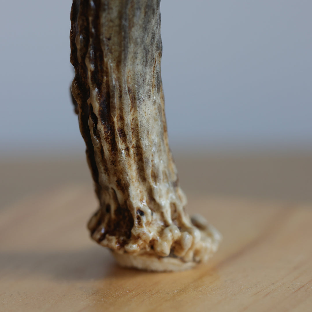 Rob Jerome Small Loon Antler Carving on Wooden Base