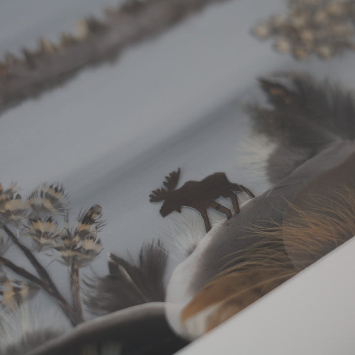 Shannon Dunn 12"x15" Moose Feather Artwork