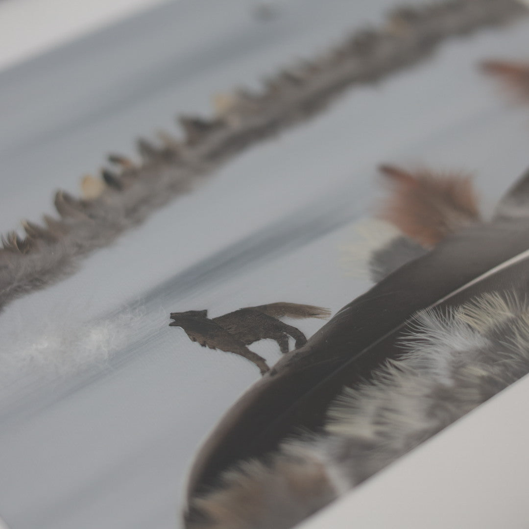 Shannon Dunn 12"x15" Howling Wolf Feather Artwork