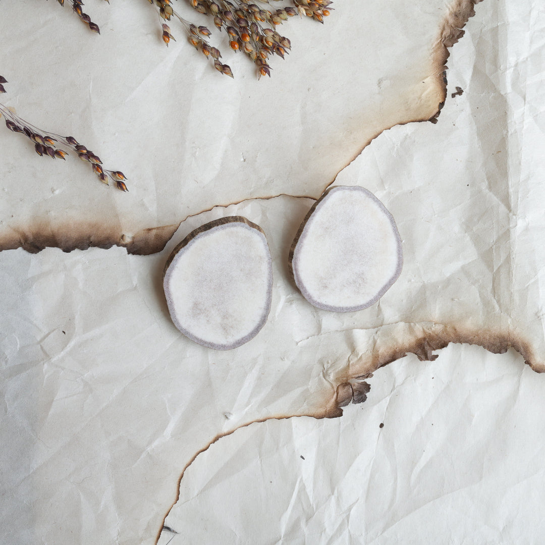 TLee Beads Moose Antler Slab Studs