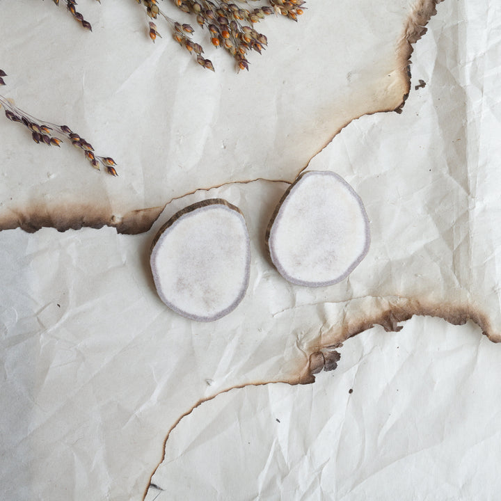 TLee Beads Moose Antler Slab Studs