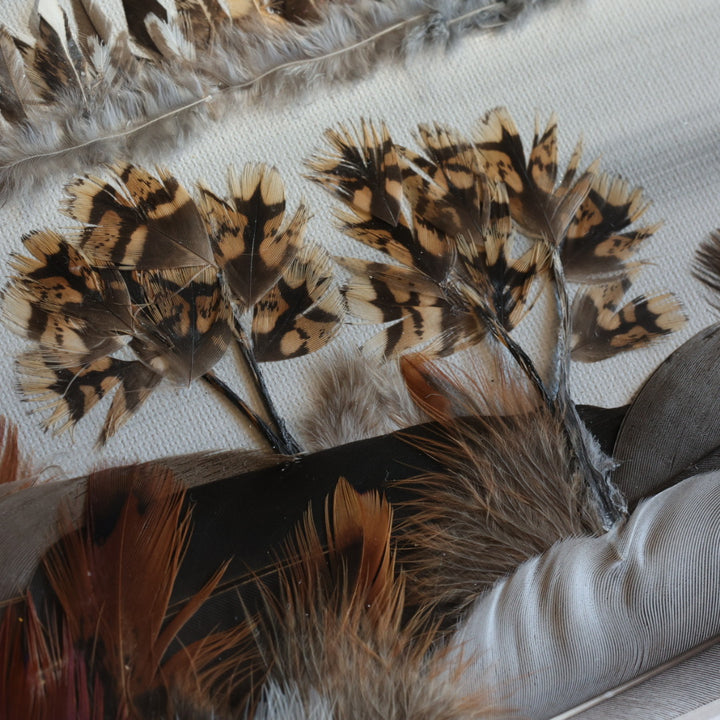 Shannon Dunn 12"x15" Cabin Feather Artwork