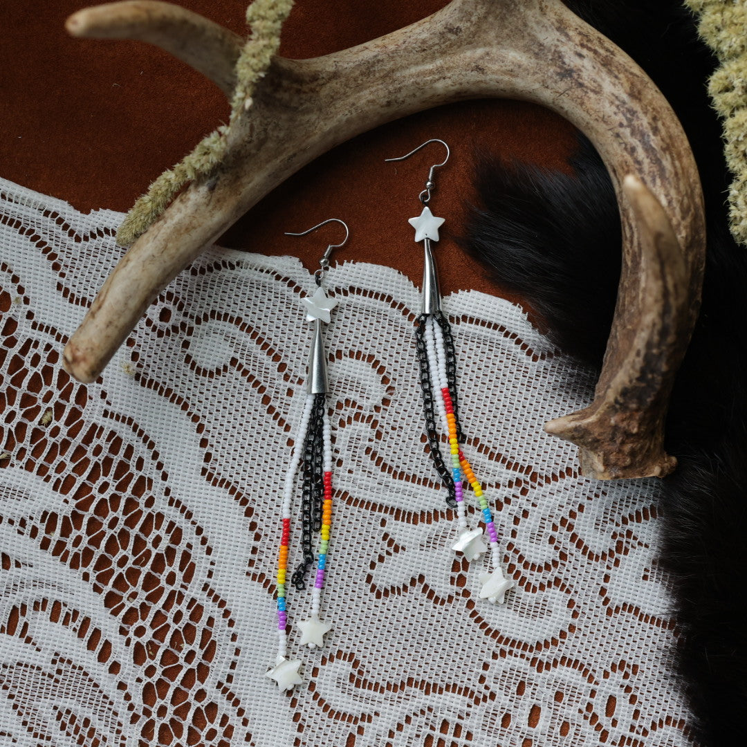 DMD Beadwork Rainbow Fringe Earrings
