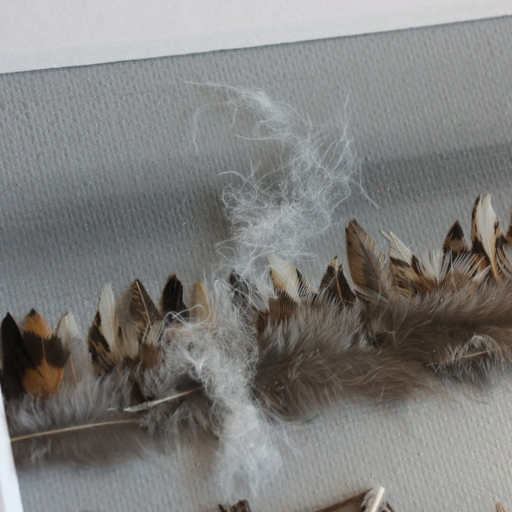 Shannon Dunn 8"x10" Bear Feather Art