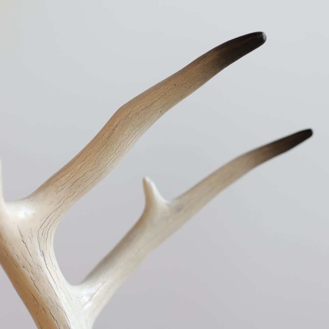 Rob Jerome Medium Swan Antler Carving on Wooden Base