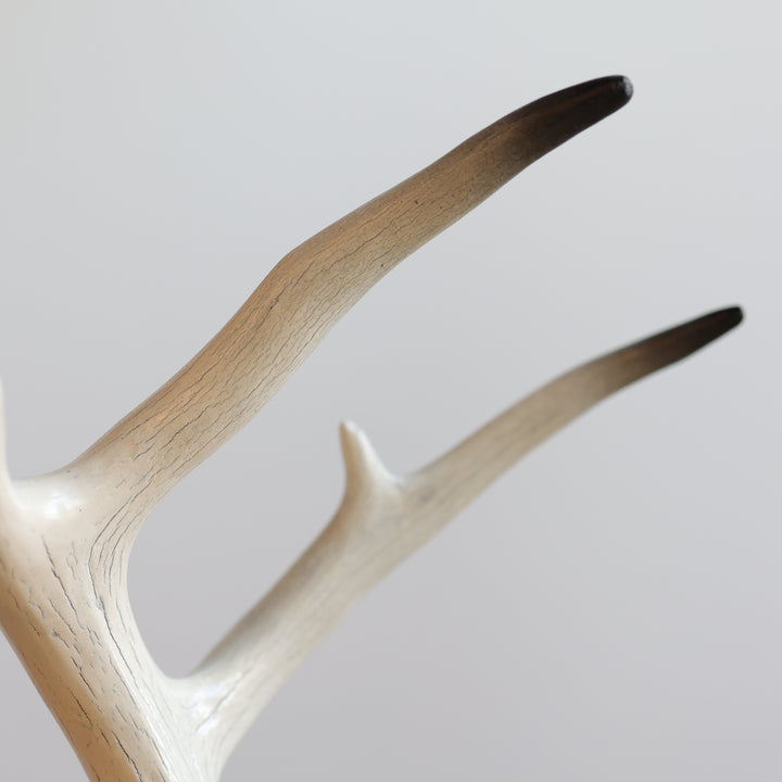 Rob Jerome Medium Swan Antler Carving on Wooden Base