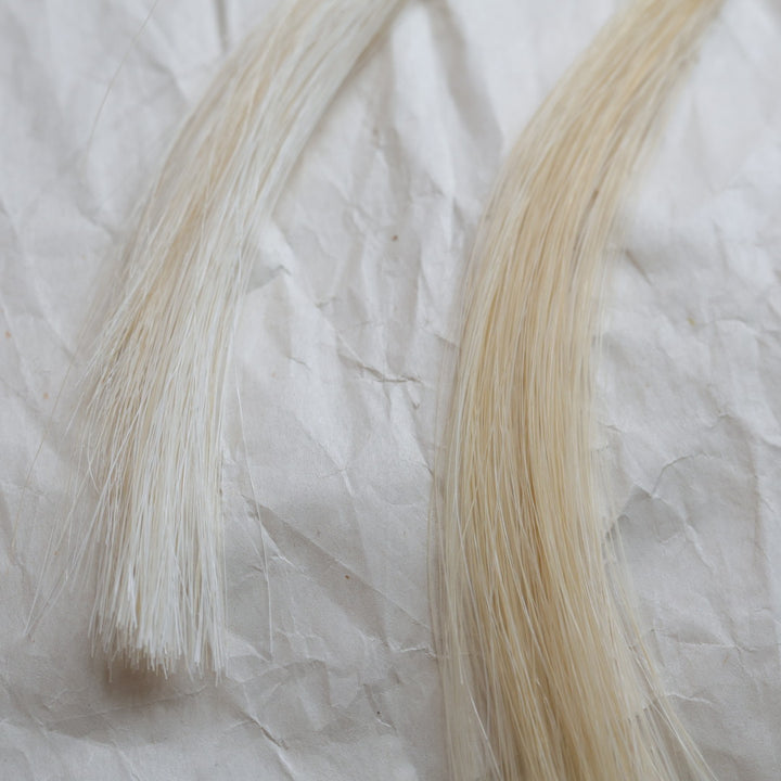 TLee Beads Horsehair Bolo Necklace Necklace