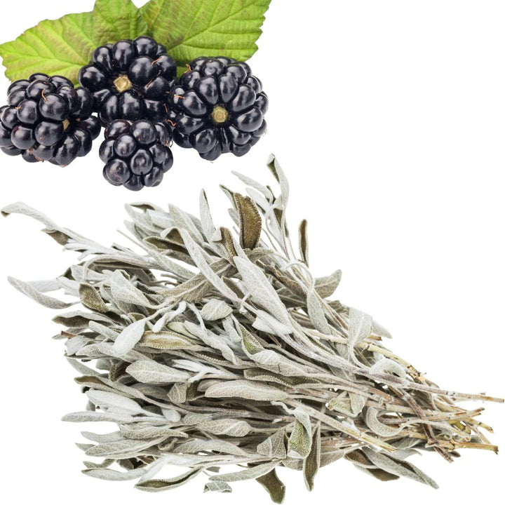 Sequoia Blackberry Sage Candle