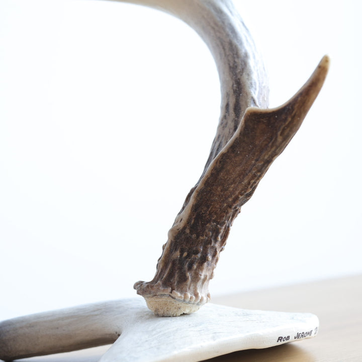 Rob Jerome Large Swan Antler Carving