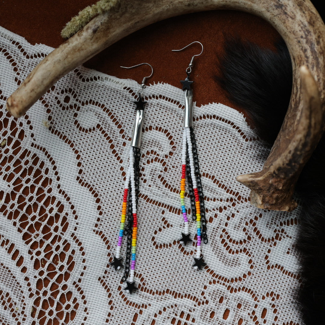 DMD Beadwork Rainbow Fringe Earrings
