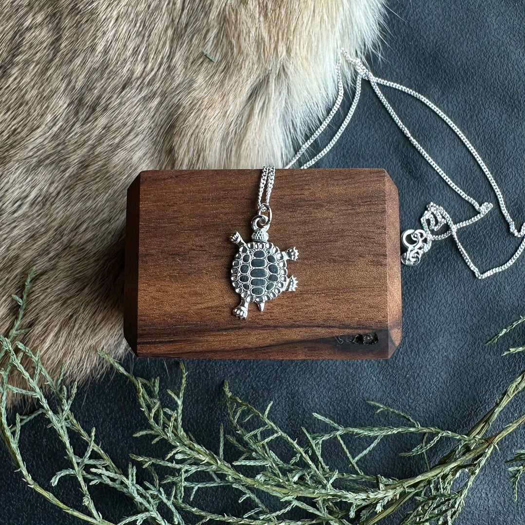 Medicine Bear Arts Turtle Teachings Earrings & Pendant