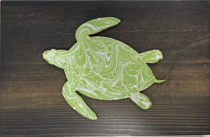 3R Innovative Imaging Painted Turtle Art