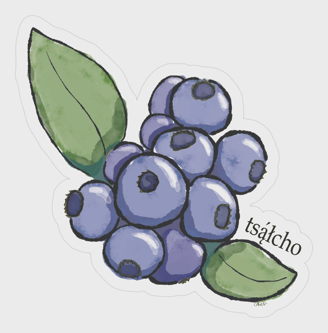 Ookus D Blueberry Sticker