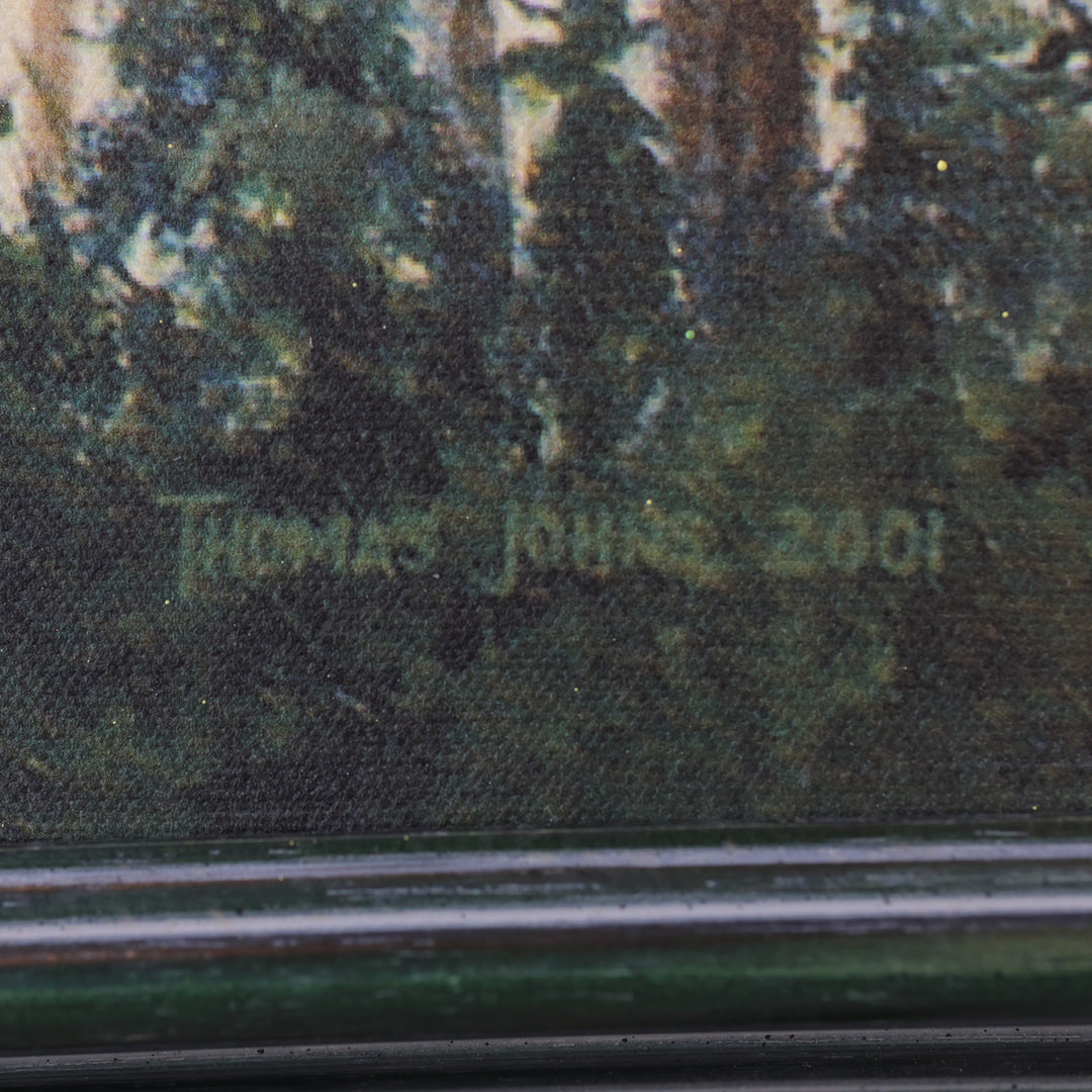 Thomas Johns Morning Sun