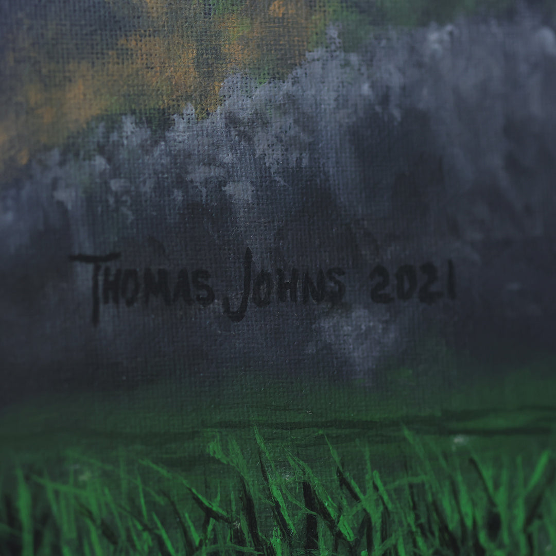 Thomas Johns Resilience