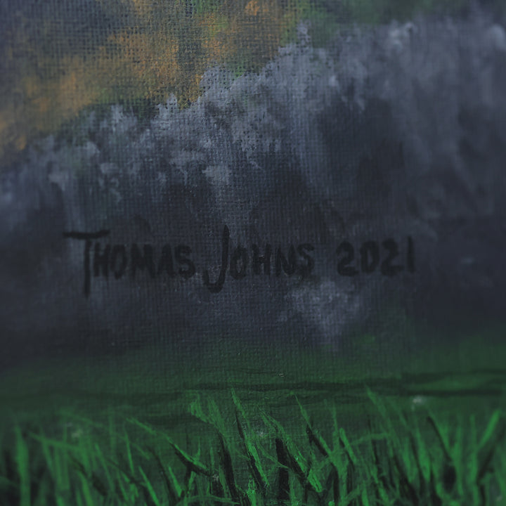 Thomas Johns Resilience