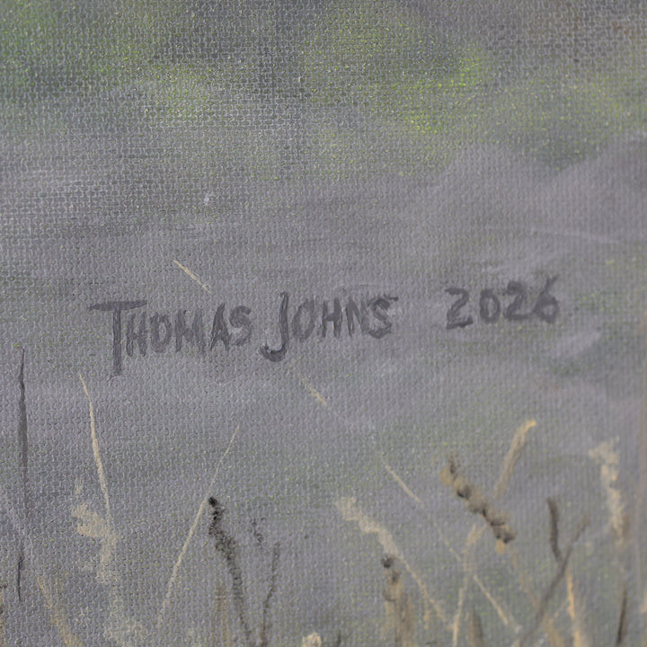 Thomas Johns Late Morning Fog