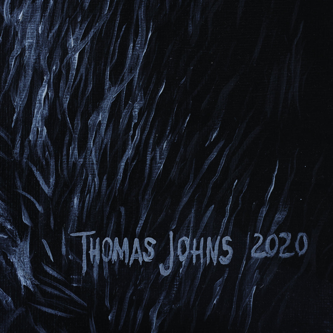 Thomas Johns Fire and Ice
