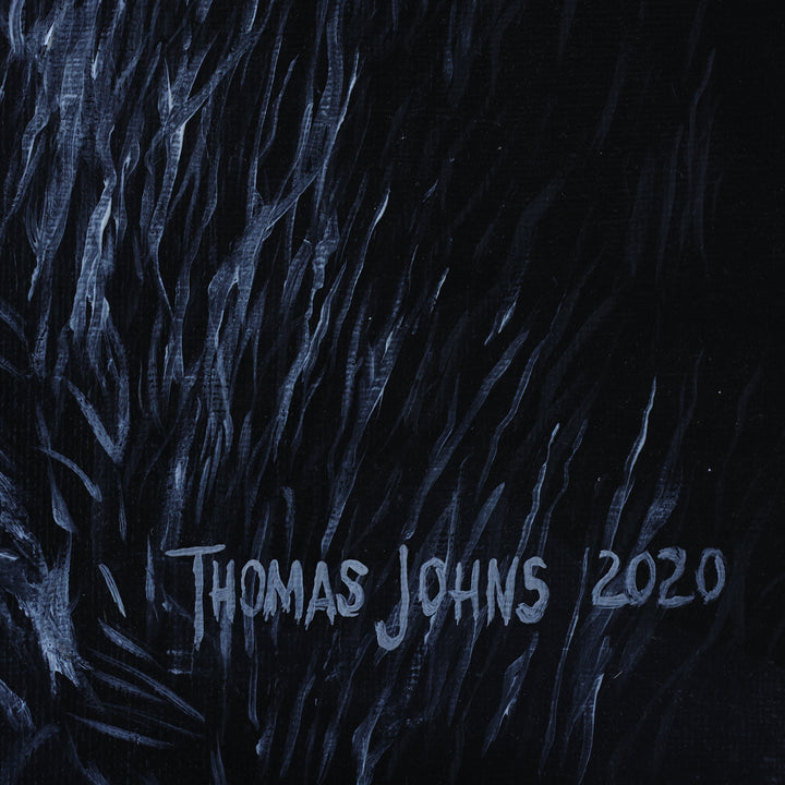 Thomas Johns Fire and Ice