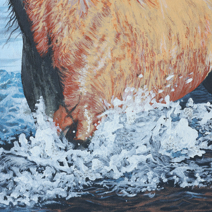 Thomas Johns Splash