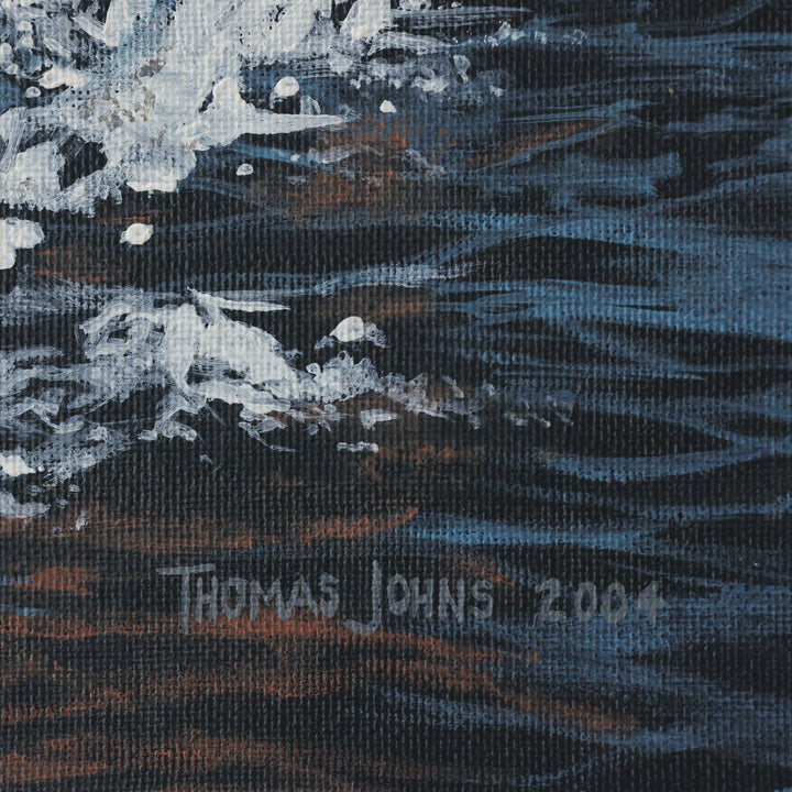 Thomas Johns Splash