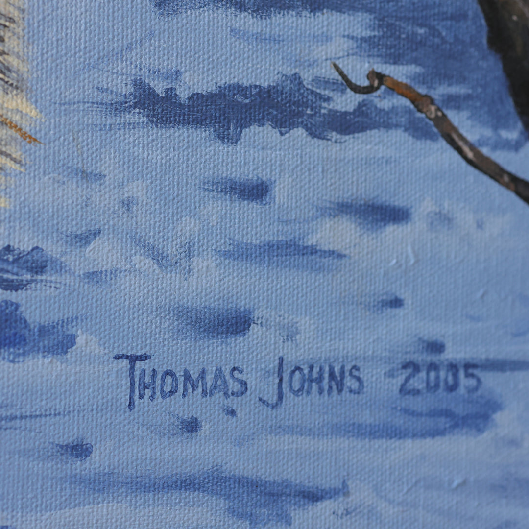 Thomas Johns Cold Stare