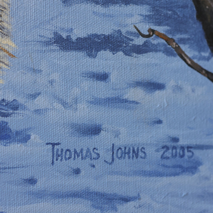 Thomas Johns Cold Stare
