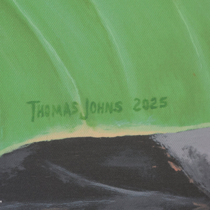 Thomas Johns Solitude