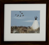 Shannon Dunn Feather Landscapes