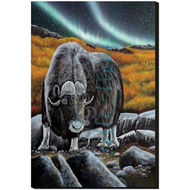CAP Muskox Glare Art Plaque