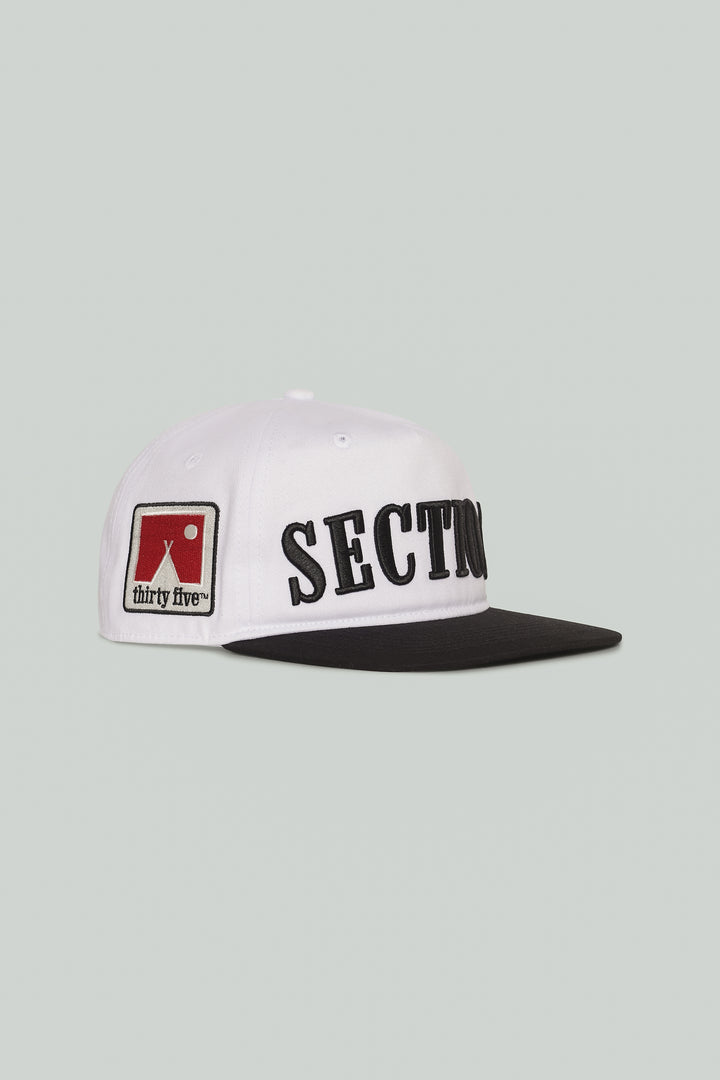 Section 35 Protocol Snapback