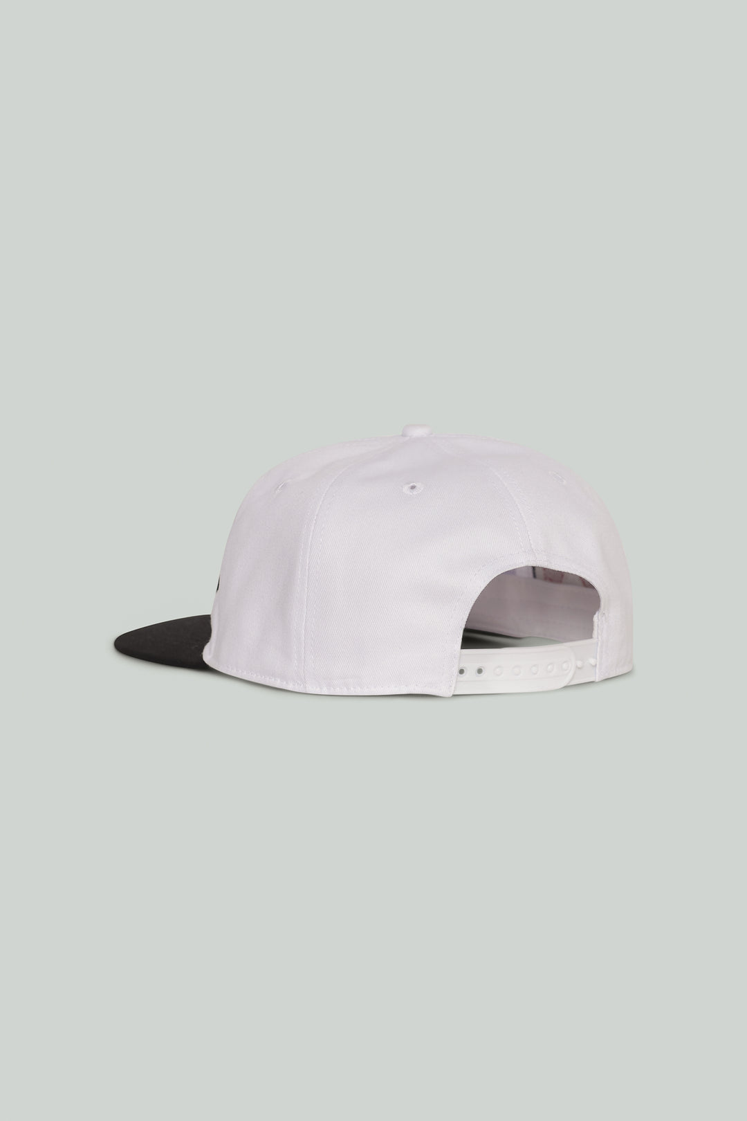 Section 35 Protocol Snapback